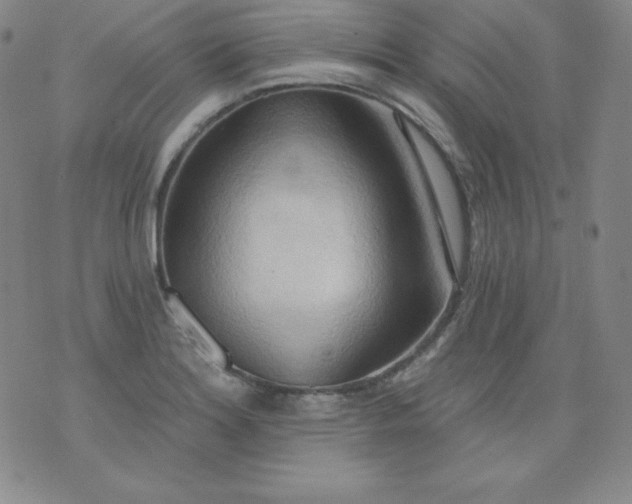 X0000076241180200610122133
