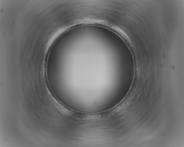 X0000076241183200610122133
