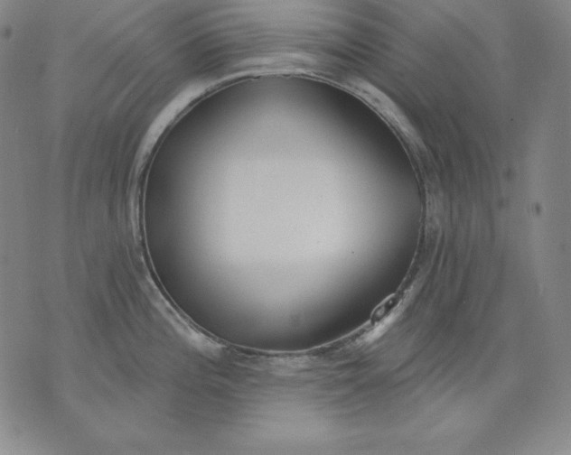 X0000076241196200610122132