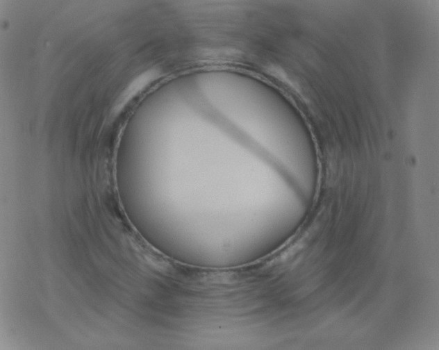 X0000076241211200610122132