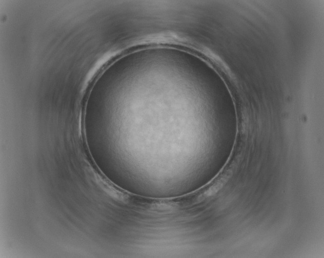 X0000076241224200610122132