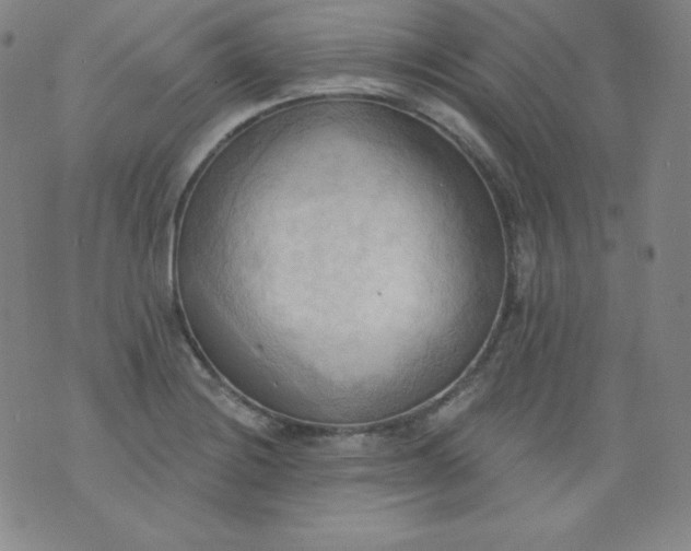 X0000076241228200610122132
