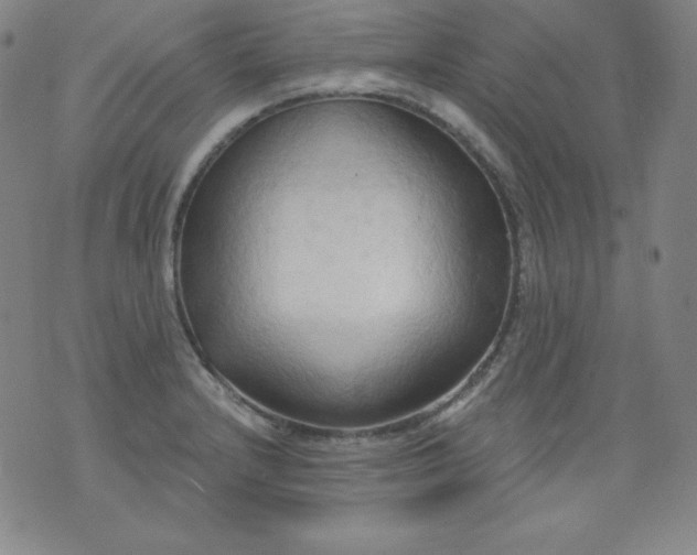 X0000076241232200610122132