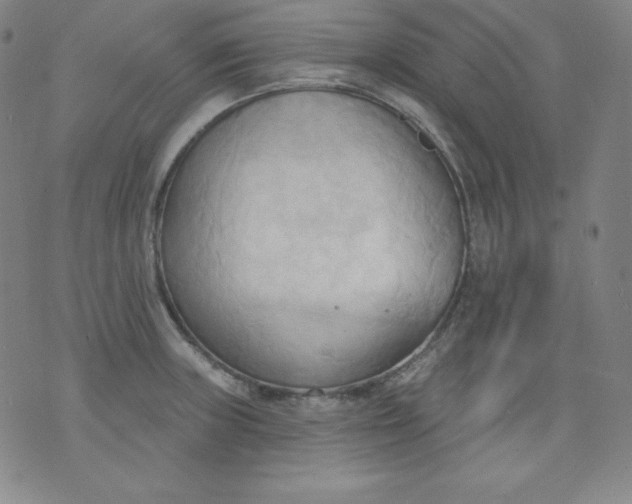 X0000076241235200610122132