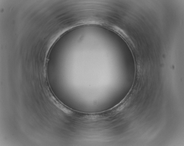 X0000076241236200610122132