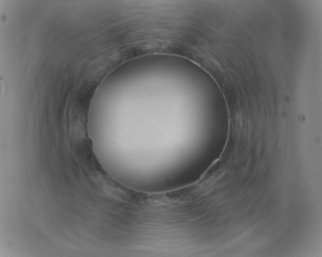 X0000076241250200610122131