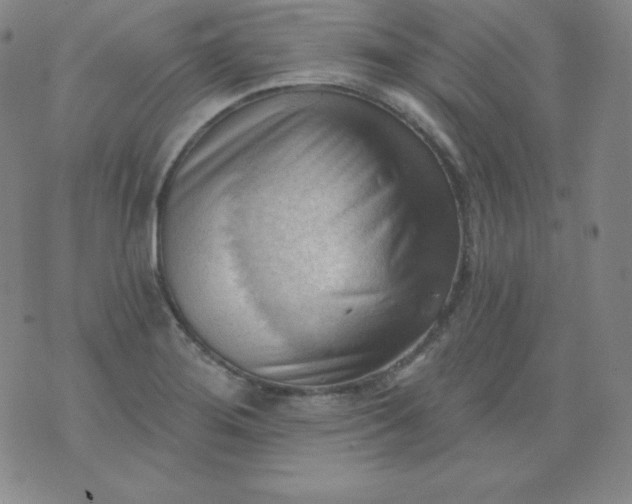X0000076241276200610122131