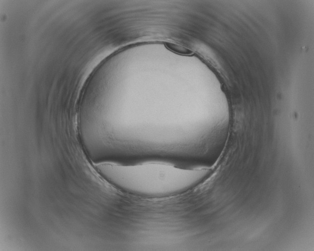 X0000076241284200610122131