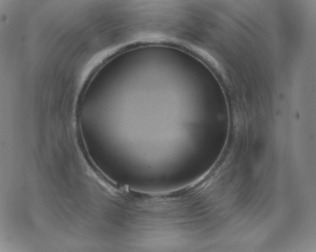 X0000076241327200610122130