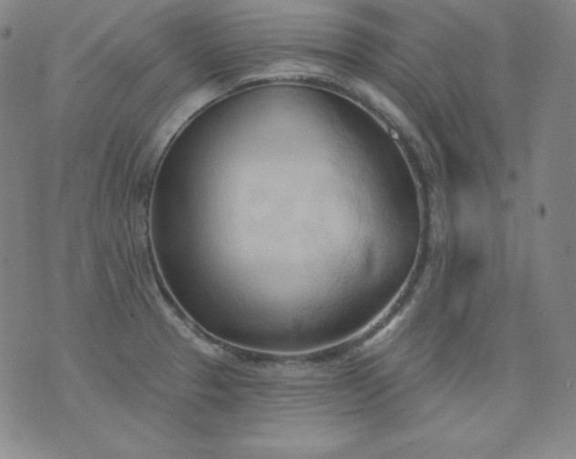 X0000076241329200610122130