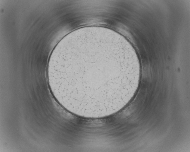 X0000076241338200610122131