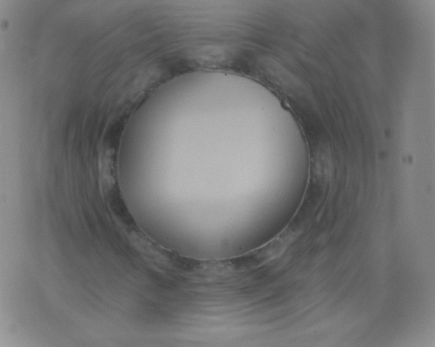 X0000076241346200610122130