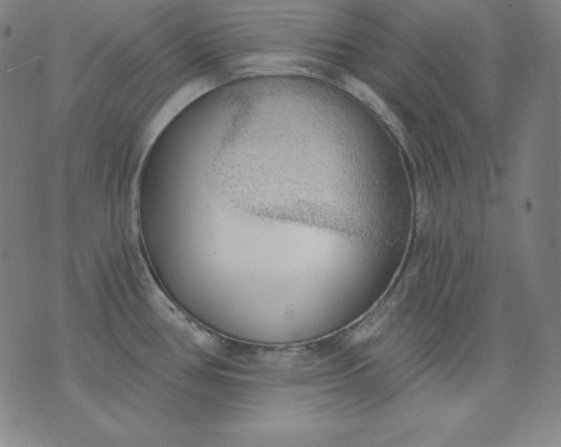 X0000076241386200610122129