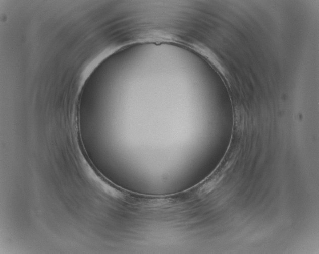 X0000076241387200610122129