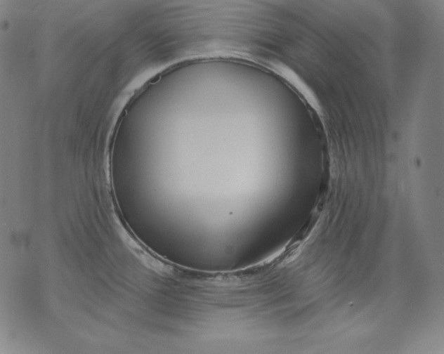 X0000076241388200610122129