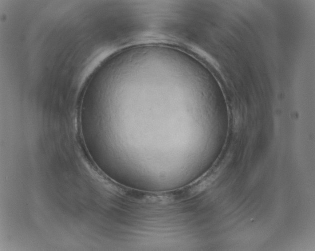 X0000076241415200610122129