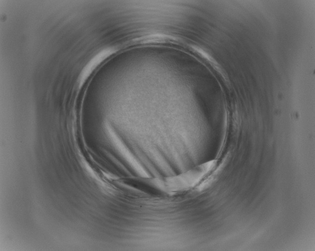 X0000076241418200610122129