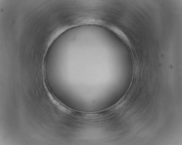 X0000076241439200610122129