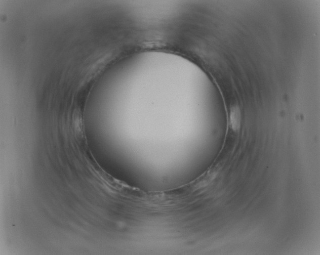 X0000076241444200610122128