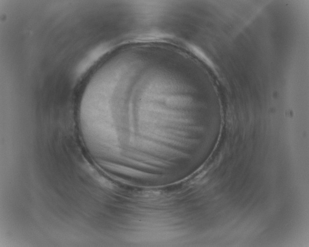 X0000076241456200610122128