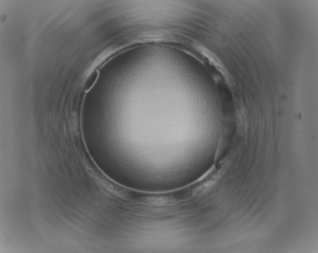 X0000076241465200610122128