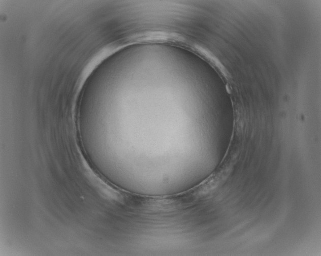 X0000076241475200610122128
