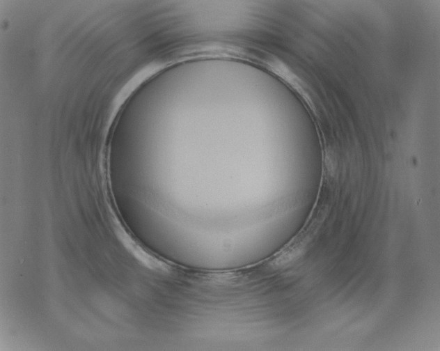 X0000076241482200610122128