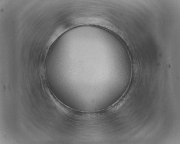 X0000076241521200610122127