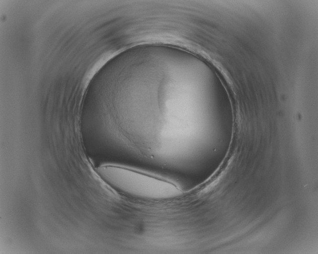 X0000076241529200610122128