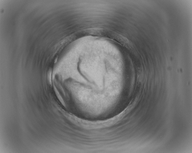 X0000076240047200610191634