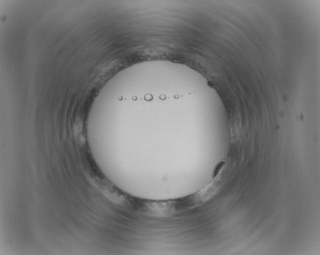 X0000076240187200610191633