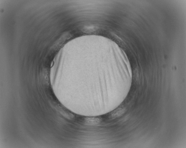 X0000076240234200610191631