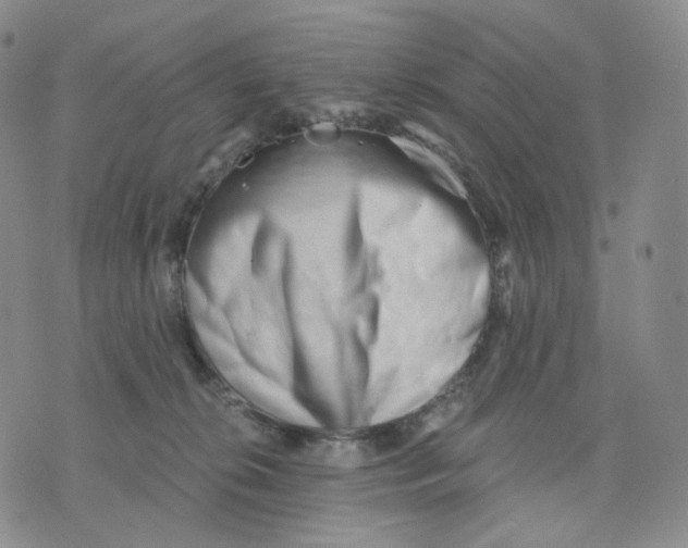X0000076240276200610191631