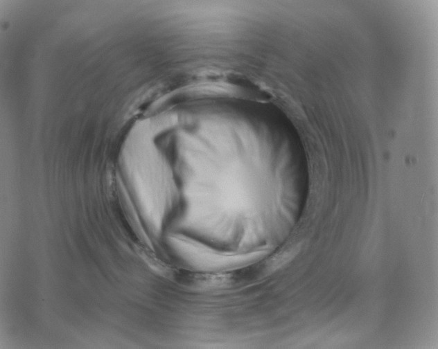 X0000076240288200610191631