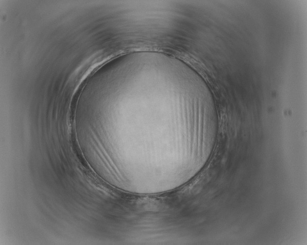 X0000076240290200610191630