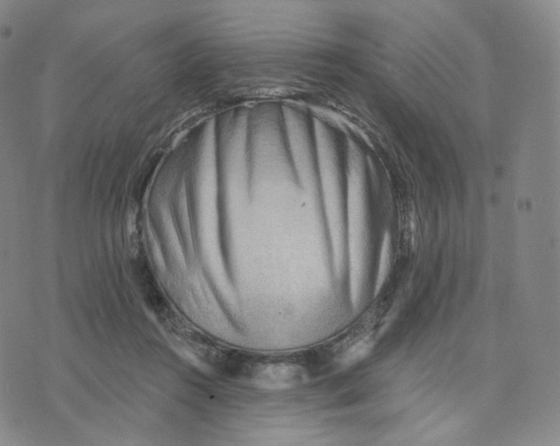 X0000076240360200610191629