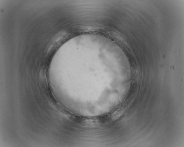X0000076240415200610191628