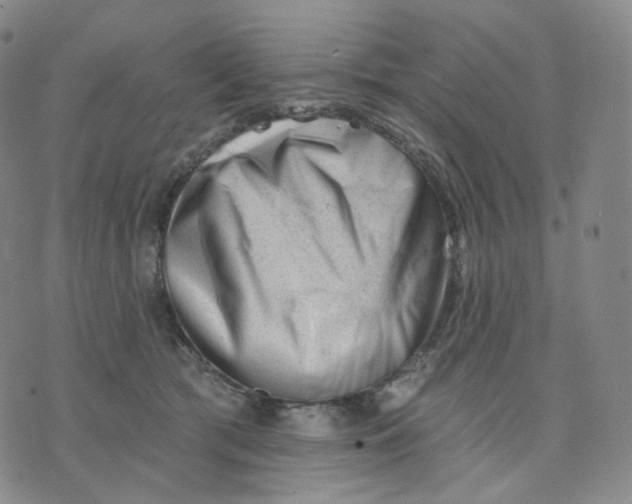 X0000076240417200610191628