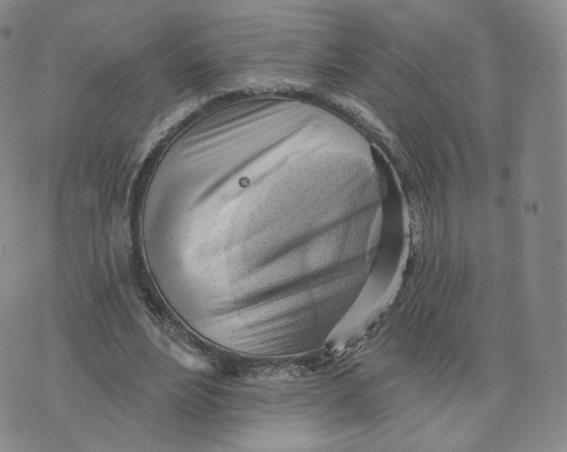 X0000076240488200610191627