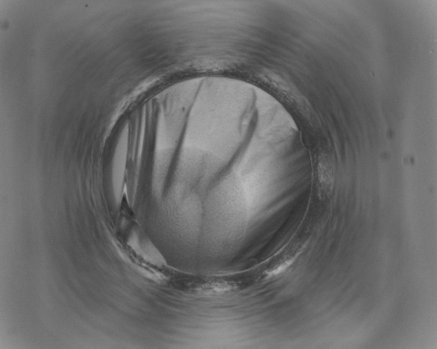 X0000076240492200610191627
