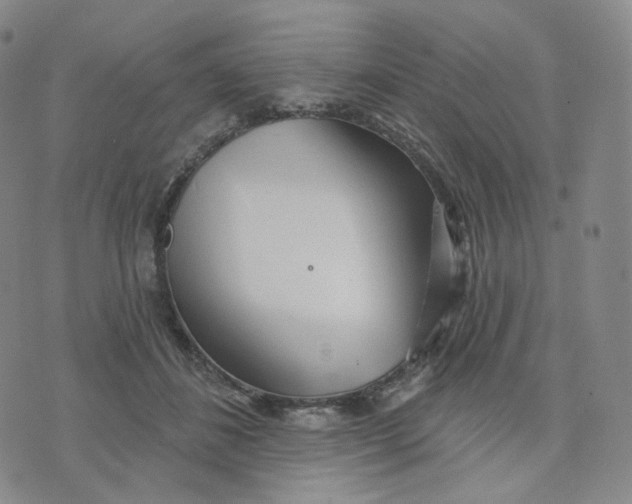 X0000076240508200610191627