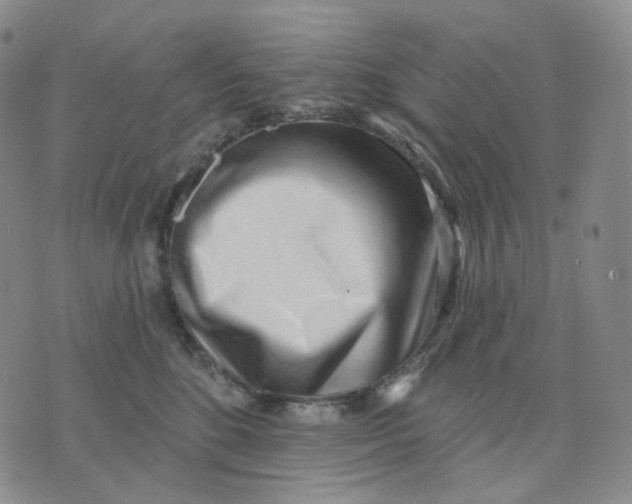 X0000076240520200610191626