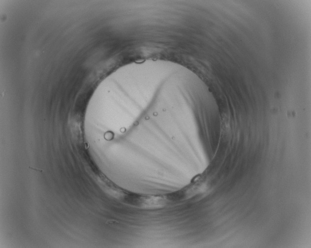 X0000076240527200610191626