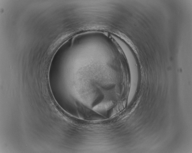 X0000076240577200610191626