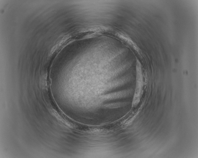 X0000076240585200610191625