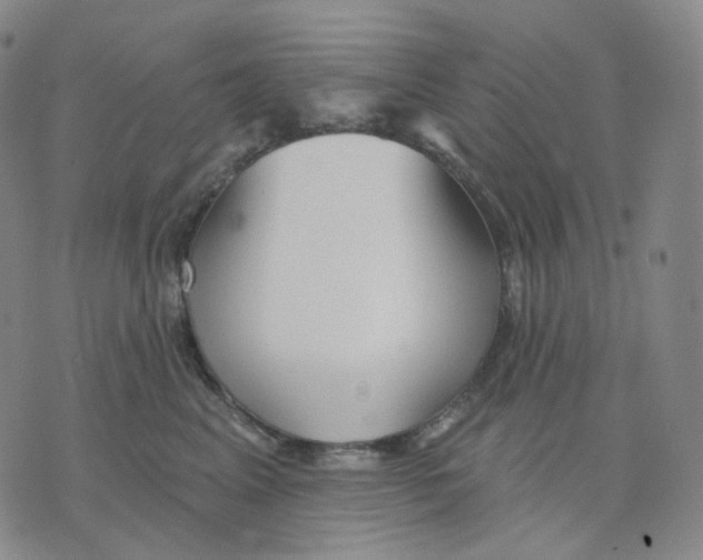 X0000076240617200610191625