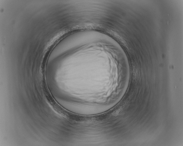 X0000076240674200610191624