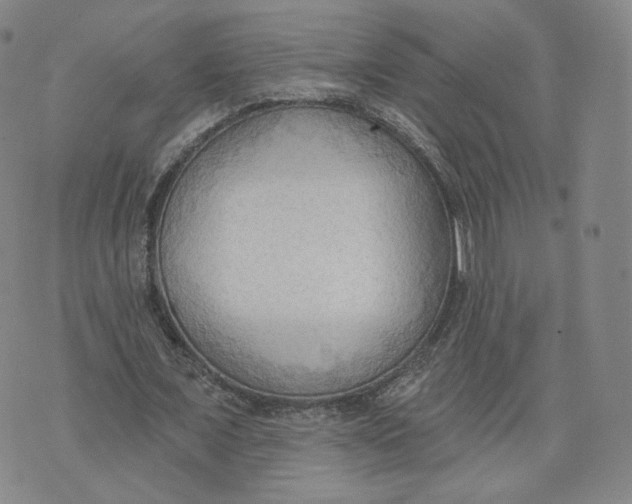 X0000076240675200610191624