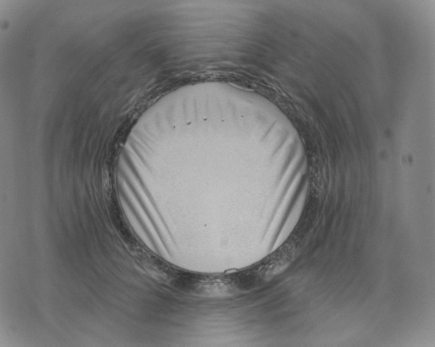 X0000076240704200610191623