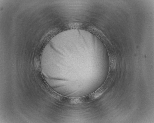 X0000076240705200610191623